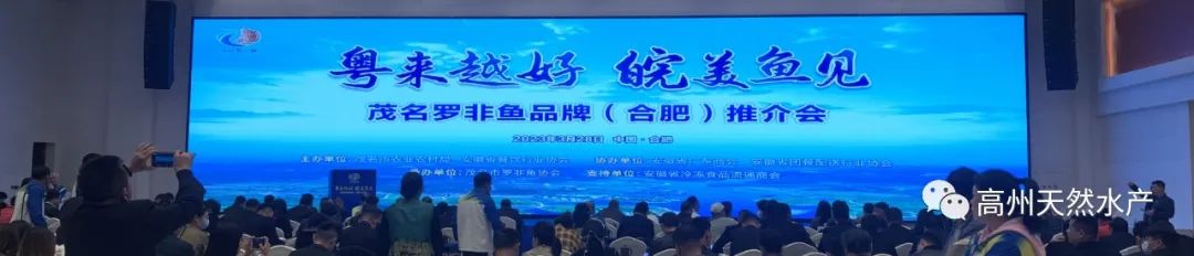 1729699233391382.jpg 1.jpg